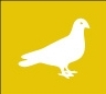 A great web designer: Pigeon House, Ottawa, Canada
