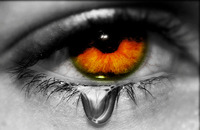 A great web designer: MetalTear Creations, Dubai, United Arab Emirates