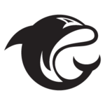 A great web designer: Orrka, Dallas, TX