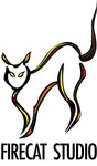 A great web designer: Firecat Studio, San Antonio, TX
