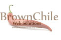 A great web designer: BrownChile Web Solutions, Denver, CO