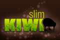 A great web designer: Slim Kiwi, Boston, MA