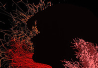 A great web design by Silvia Iordache, Brasov, Romania: 