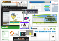 A great web design by Lucid Dragon, London, United Kingdom: 