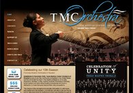 A great web design by Cheep Cheep Websites, Houston, TX: Website, Marketing Website
, Music
, Other