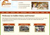 A great web design by Ballyhoo Web Solutions, Detroit, MI: 