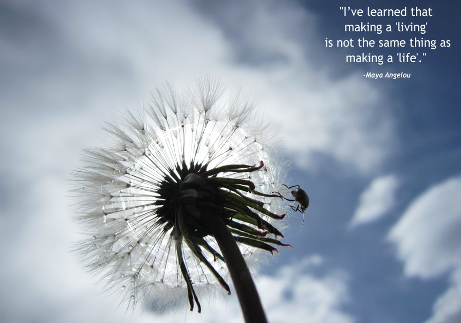 A great web design by JoshuaBridge.com, Los Angeles, CA: 