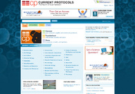 A great web design by Web5design, New York, NY: 