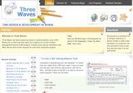 A great web design by Three Waves, San Francisco, CA: 