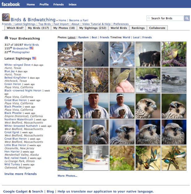 A great web design by Adaptive, Lisbon, Portugal: 