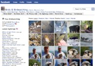 A great web design by Adaptive, Lisbon, Portugal: 