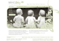 A great web design by Swordfox Design, Queenstown, New Zealand: 