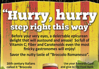 A great web design by WhatsTheBigIdea.com, Inc., New York, NY: 