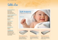 A great web design by Laurentiu Danu, Bucharest, Romania: 