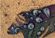 A great web design by WB Cobb, Salt Lake City, UT: 