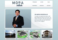 A great web design by We Make, Giske, Norway: 