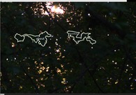 A great web design by Syracuse Web Design, Syracuse, NY: 