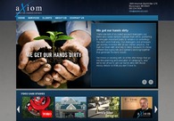 A great web design by Katerina Conlon, Minneapolis, MN: 