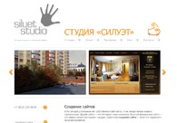 A great web design by Siluet Studio, Saint Petersburg, Russia: 