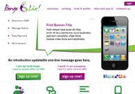 A great web design by pixeli.ca, Atlanta, GA: 