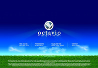 A great web design by Octavio Hosting - Software, Bucharest, Romania: 