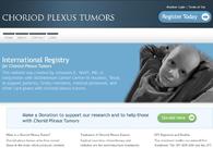 A great web design by Crocodile Software, Houston, TX: 