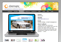 A great web design by Antropy Consulting, London, United Kingdom: 