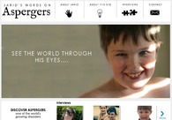 A great web design by Chaoseeker, Los Angeles, CA: 