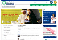 A great web design by WSI Net Power, Dubai, United Arab Emirates: 
