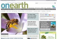 A great web design by Hazan+Company, New York, NY: 