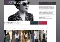 A great web design by Synthview freelance graphic designer, Paris, France: 