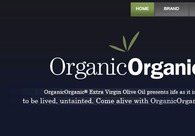 A great web design by BosAlvertos.com, Chicago, IL: 