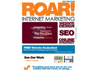 A great web design by ROAR! Internet Marketing, Orlando, FL: 