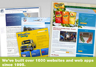A great web design by Nu-Designs Web Marketing, San Francisco, CA: 