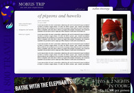A great web design by azurewaters, Bangalore, India: 