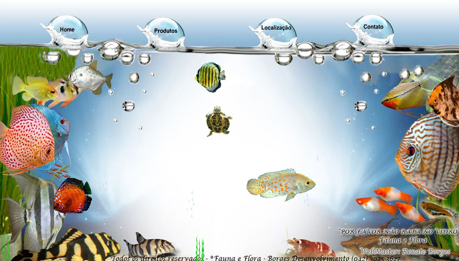 A great web design by Borges International Web, Boston, MA: 