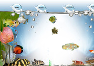 A great web design by Borges International Web, Boston, MA: 