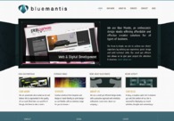 A great web design by Blue Mantis, Leeds, United Kingdom: 