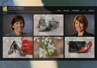A great web design by BrownChile Web Solutions, Denver, CO: 