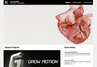 A great web design by Kumo Creative, New York, NY: 