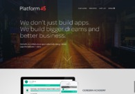 A great web design by Platform45, New York, NY: 