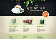 A great web design by Fernando Silanes Design, Santiago de Chile, Chile: 