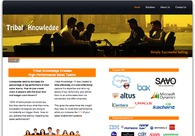 A great web design by New Channel Marketing, San Francisco, CA: 