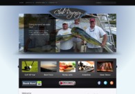 A great web design by NextMedia 360, Chicago, IL: 