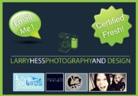 A great web design by Larry.Hess.Design, Charleston, WV: 