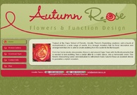 A great web design by Siyadibanisa Web Solutions, Cape Town, South Africa: 