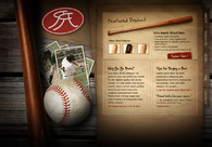 A great web design by AcrobatAnt, Tulsa, OK: 