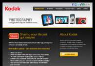 A great web design by Salony Creations, Dubai, United Arab Emirates: 