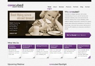 A great web design by corecubed, Louisville, KY: 