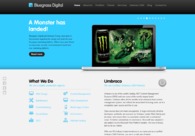 A great web design by Bluegrass Digital, Central London, United Kingdom: 